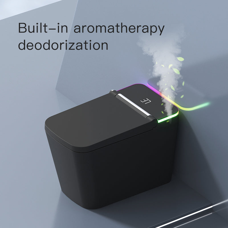 F5 Smart Toilet | Premium Voice-Controlled Toilet | Black