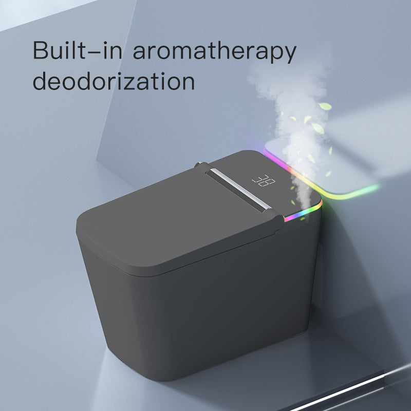 F5 Smart Toilet | Premium Voice-Controlled Toilet | Grey