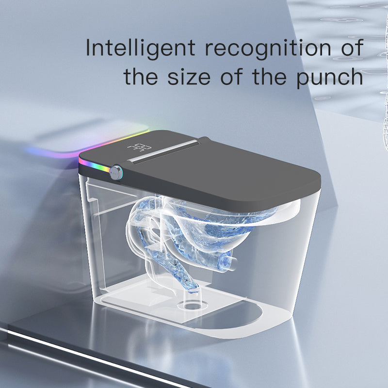 F5 Smart Toilet | Premium Voice-Controlled Toilet | Grey