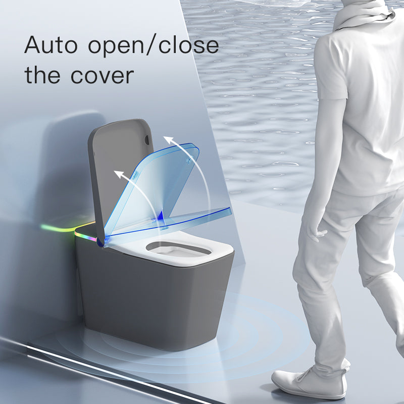 F5 Smart Toilet | Premium Voice-Controlled Toilet | Grey