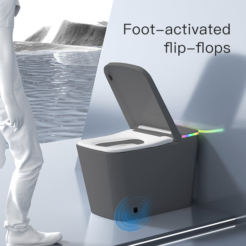 F5 Smart Toilet | Premium Voice-Controlled Toilet | Grey