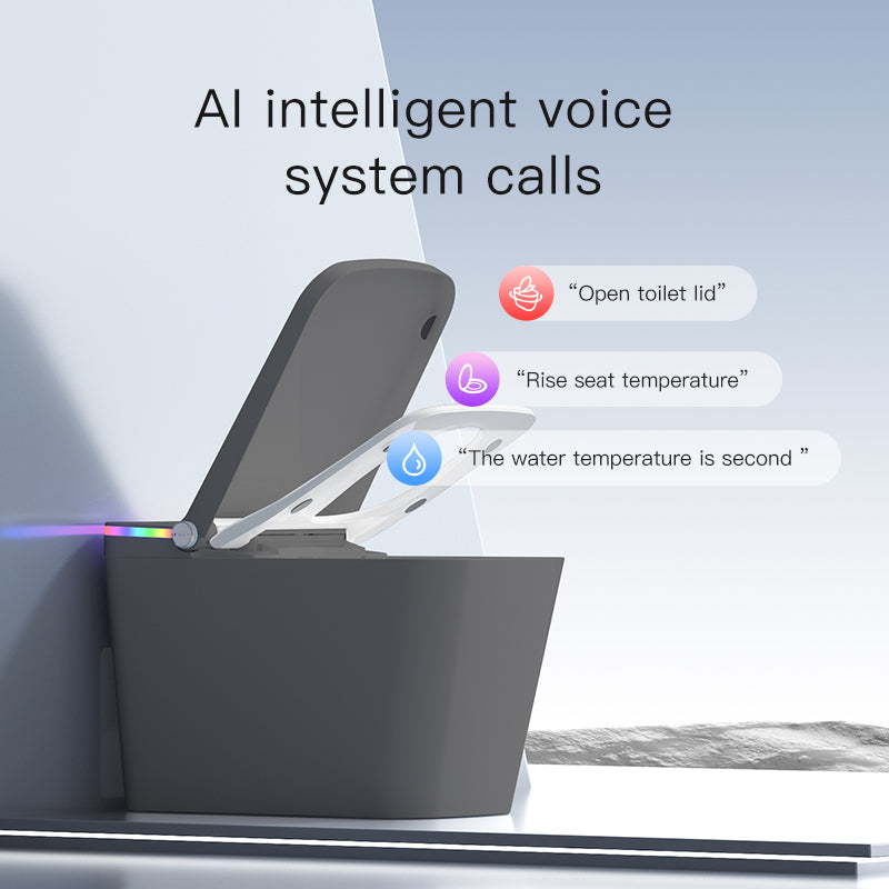 F5 Smart Toilet | Premium Voice-Controlled Toilet | Grey