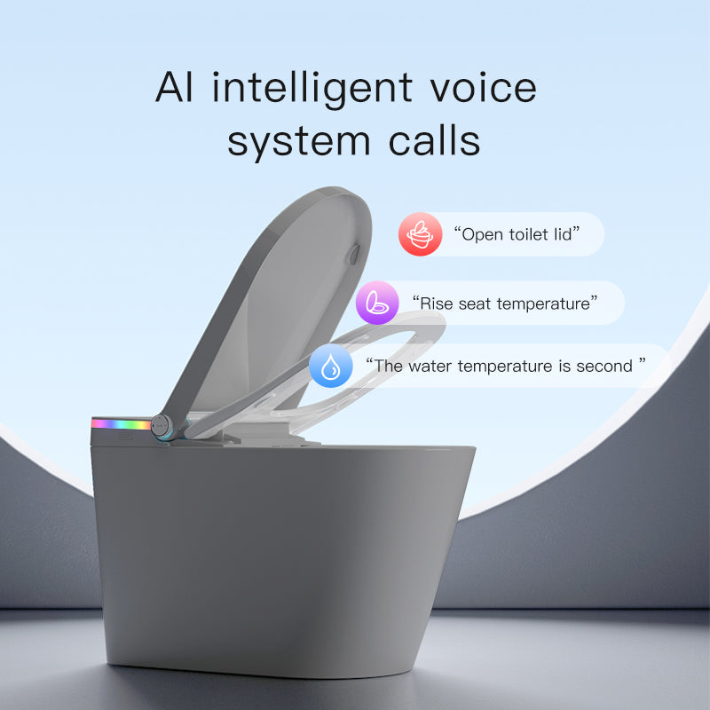 U5 Smart Toilet | Intelligent Comfort Series | Grey